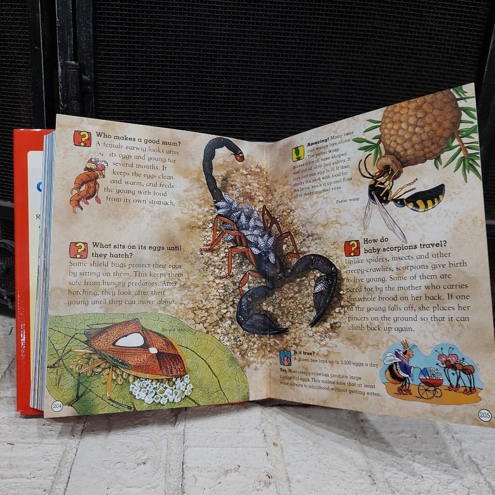 Amazing Questions And Answers Book Of Timeless Knowledge Adventures  And Quizzes - Picture 8 of 9
